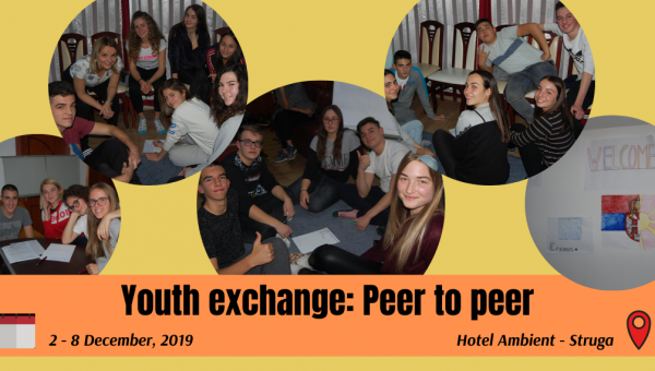 Youth Exchange: Peer to peer